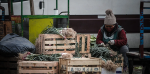 Sorpresa en medio de la escasez de dólares: importan fruta para contener precios