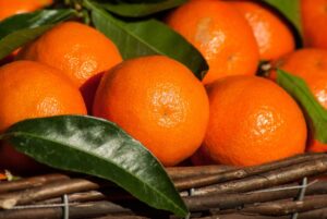 Egipto se convirtió en el mayor proveedor de naranjas del hemisferio norte a los países del sudeste asiático