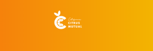 Ya está disponible el nuevo panel de importación de cítricos en la web de California Citrus Mutual