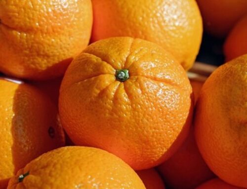 Egipto suministra el 93% de las naranjas importadas por la UE en el primer cuatrimestre del año