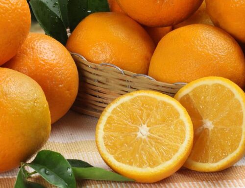 Del Nilo a las costas ibéricas: el auge sin precedentes de las exportaciones de naranjas de Egipto a España