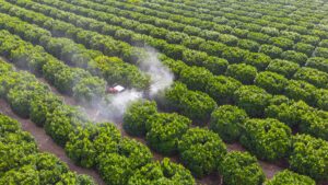 Rusia exportará más de la mitad de los 60 millones de toneladas de fertilizantes en 2024