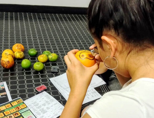 Entre Ríos: Formación para inspectores de empaque de fruta fresca cítrica