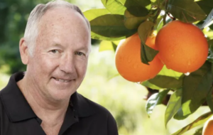Citrus Growers’ Association of Southern Africa: «Pese a las dificultades, los citricultores sudafricanos han producido más cítricos»