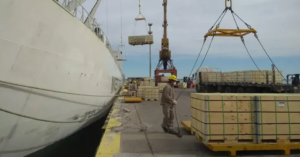Cae fuerte el volumen de peras y manzanas con destino a industria