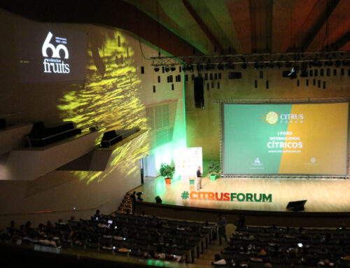Más de 50 expertos de todo el mundo intervendrán en Citrus Forum 2024