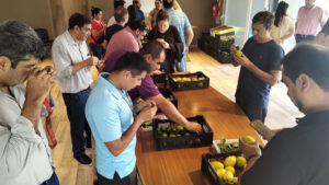 Curso en certificación de fruta cítrica para exportar a la UE y mercados similares