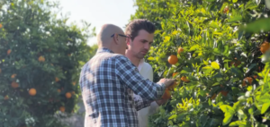 Gijsbert van Leeuwen, de Olympic Fruit (Países Bajos): «Los altos precios del zumo conllevan desafíos para el mercado de las naranjas para zumo»