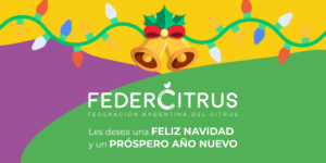 Felices Fiestas