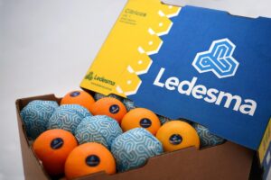Gonzalo Piñeiro, de Ledesma (Argentina): «Cambiamos la estrategia: reducimos las exportaciones de naranja fresca para aumentar la producción de jugos»