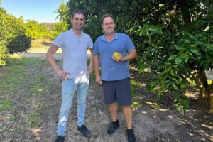 Gijsbert van Leeuwen, de Olympic Fruit (Países Bajos): «Mercado lento para la mandarina, pero buena demanda de naranjas pequeñas para zumo y recuperación del pomelo»