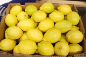 Michalis Kioutsoukalis, de Cosmos Fruit (Grecia): «Las importaciones de limón argentino siguen adelante y terminarán según lo programado»