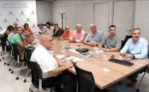 Sevilla: La Junta estima que Andalucía superará los dos millones de toneladas de cítricos en 2025-2026