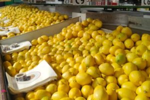 Antonio Carrión, de Frutas Beri: «Es evidente que va a faltar limón, pero falta saber realmente cuánto y cuáles serán las consecuencias»