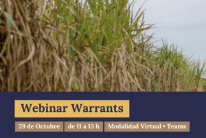 Webinar Warrants: Conocé las novedades de esta herramienta financiera