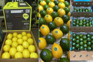 Escasez de limones en Estados Unidos y disparidad de precios en las limas
