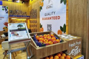 Los aranceles impuestos por EE. UU. a Sudáfrica afectan a los exportadores egipcios de naranjas