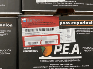 Certificaron el primer envío de naranjas frescas entrerrianas a Ecuador