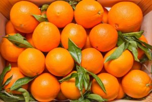 Productores sudafricanos de naranjas celebran la exención arancelaria de EE.UU., pero lamentan la exclusión de las mandarinas