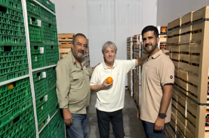 Grosrumer avanza con tecnología de frío y fortalece la cadena citrícola de Entre Ríos