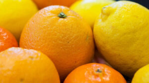 Argentina acordó con Japón mejoras en las condiciones para la exportación de cítricos