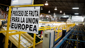 El mundo del limón argentino se ilusiona con el acuerdo Mercosur-UE