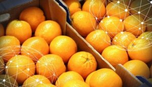 Resumen del mercado global de las naranjas