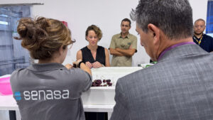 Demostración de la operatoria de exportación de frutas hacia Estados Unidos