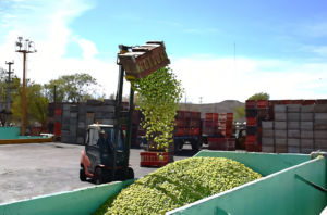 El precio del jugo concentrado bajo la presión de Trump, China y el bajo consumo