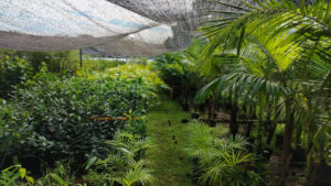 Misiones: Foco en el fortalecimiento del resguardo fitosanitario en encuentro con viveristas