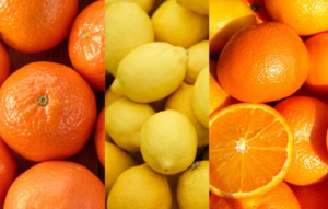 Comité de Cítricos de Frutas de Chile proyecta un crecimiento de 6% en las exportaciones para la temporada 2026