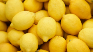 Zimbabue: Exportaciones de cítricos crecen un 69% en los primeros meses del año