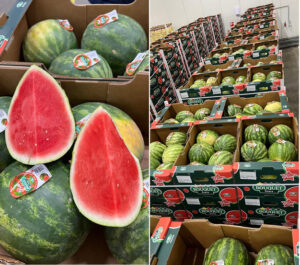 Pieter de Ruiter, de 4Fruit Company (Países Bajos): Limones y mandarinas sudafricanas acumulan excedentes en el mercado europeo