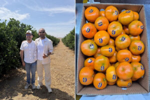 El Niño obliga a los productores peruanos a dirigir la fruta hacia mercados alternativos