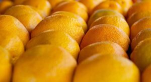 El presidente Frutas y Hortalizas Cooperatives Agro-alimentàries, Cirilo Arnandis, habla sobre las previsiones de cosecha de cítricos de este año