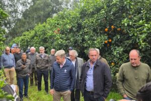 Qué pasó en la reunión de los exportadores de citrus con Frigerio. El balance de los productores, tras un encuentro “clave”